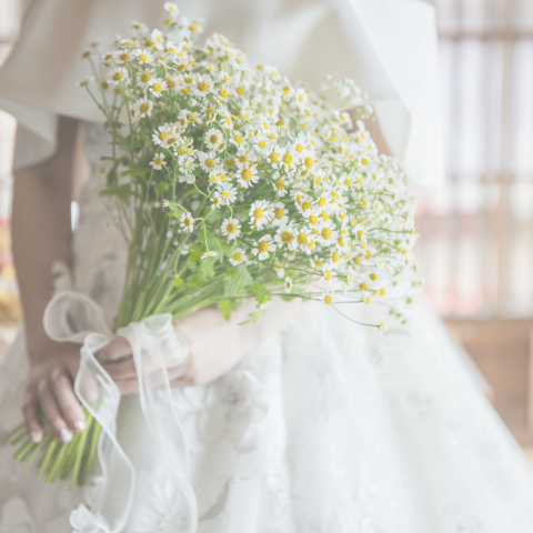 ブライダル西陣　インフォメーション